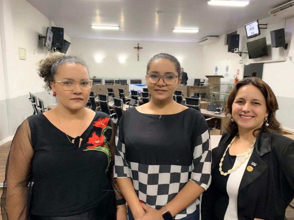 Rede municipal de atendimento à mulher vítima de violência e/ou vulnerabilidade