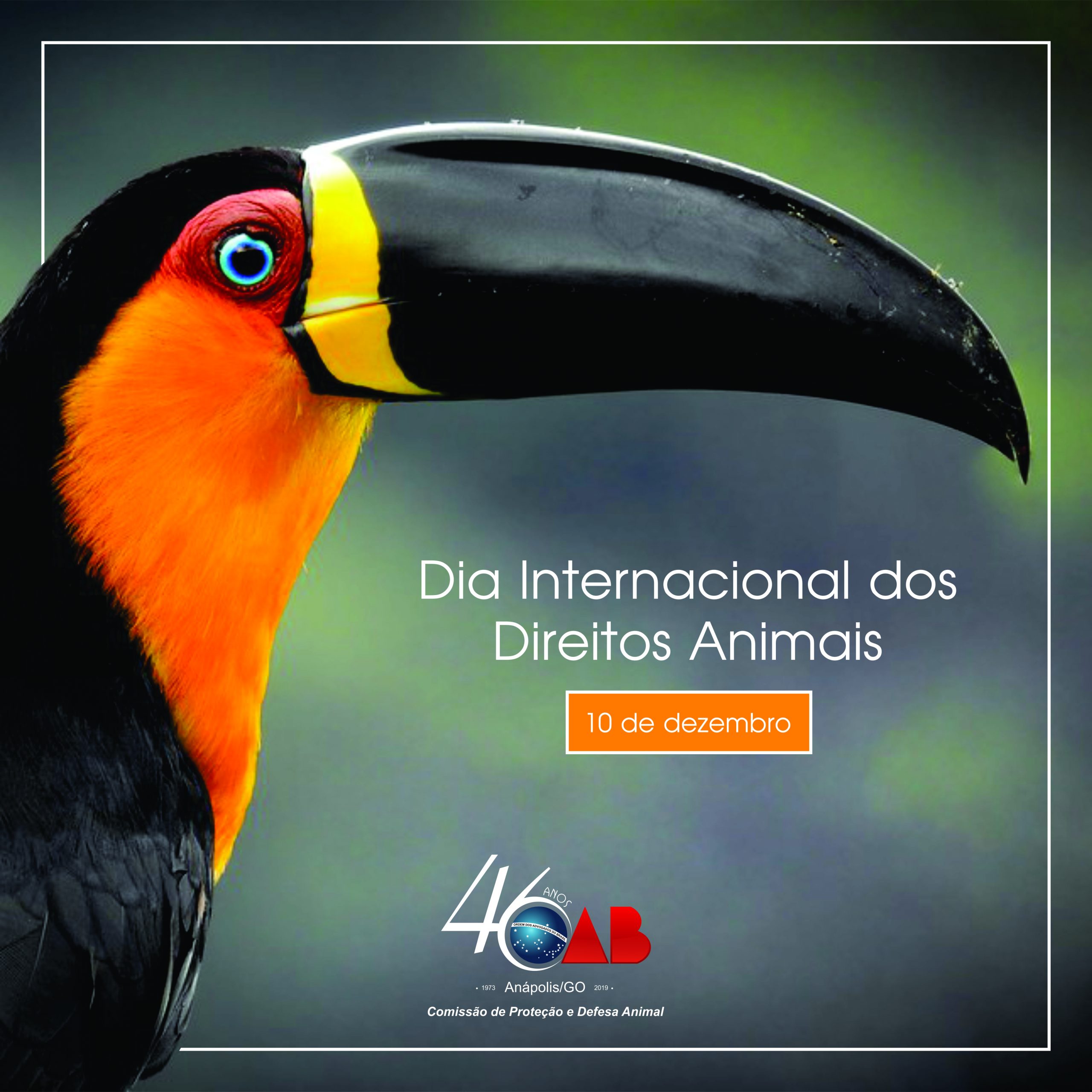 Dia Internacional dos Direitos Animais (DIDA) – 10/12/2020