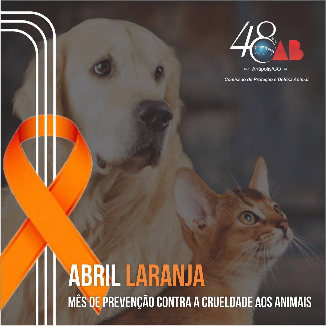 ABRIL LARANJA – Mês de prevenção contra a crueldade aos animais