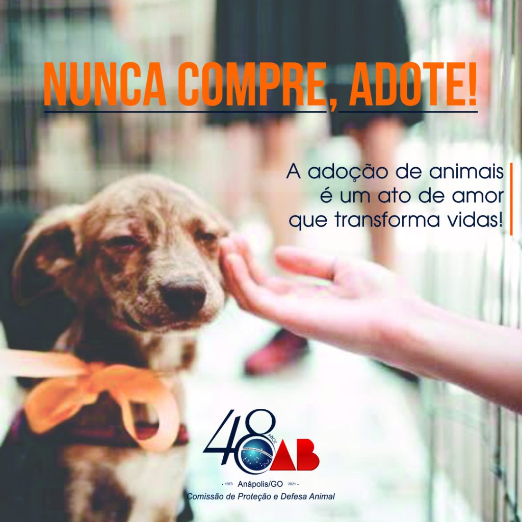 NUNCA COMPRE, ADOTE!