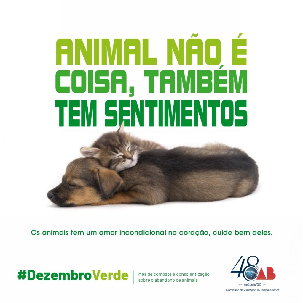 CAMPANHA “DEZEMBRO VERDE”