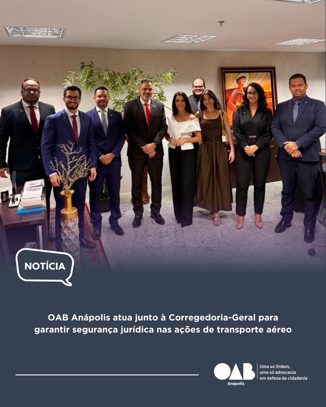 OAB Anápolis atua junto à Corregedoria-Geral para garantir segurança jurídica nas ações de transporte aéreo